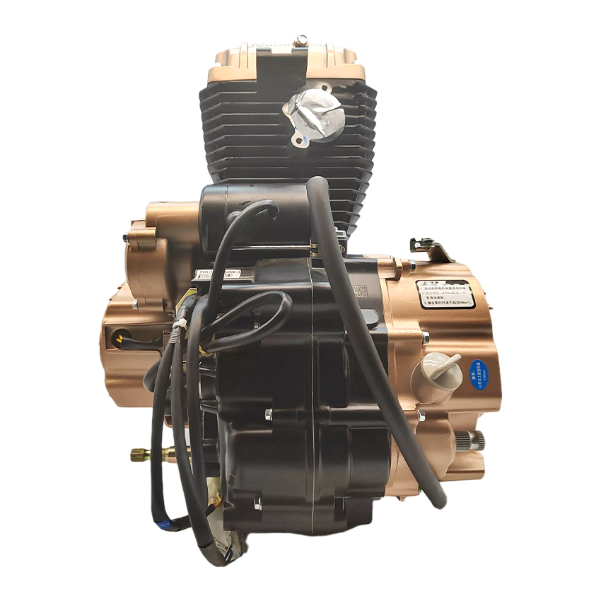 Motorcycle Gear And Accessories - Motore Zongshen CG200cc monocilindrico a 5
